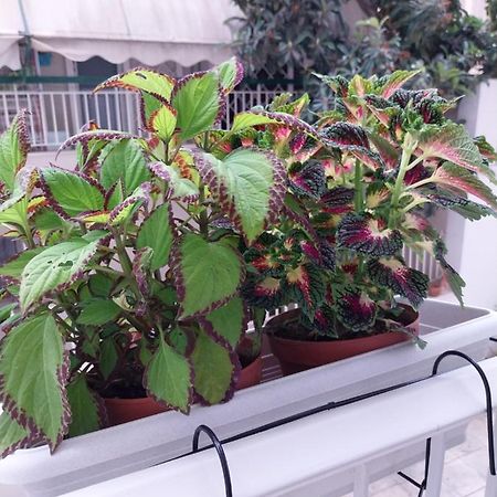 Athens Lovio Apartment Zewnętrze zdjęcie